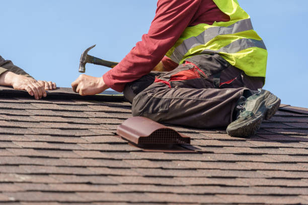Best Roof Maintenance Services  in Van Meter, IA