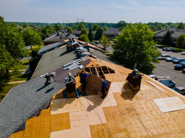 Best Flat Roof Repair Services  in Van Meter, IA
