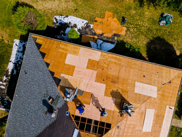 Best Metal Roofing Contractor  in Van Meter, IA