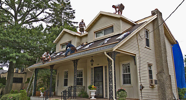 Best Local Roofing Companies  in Van Meter, IA